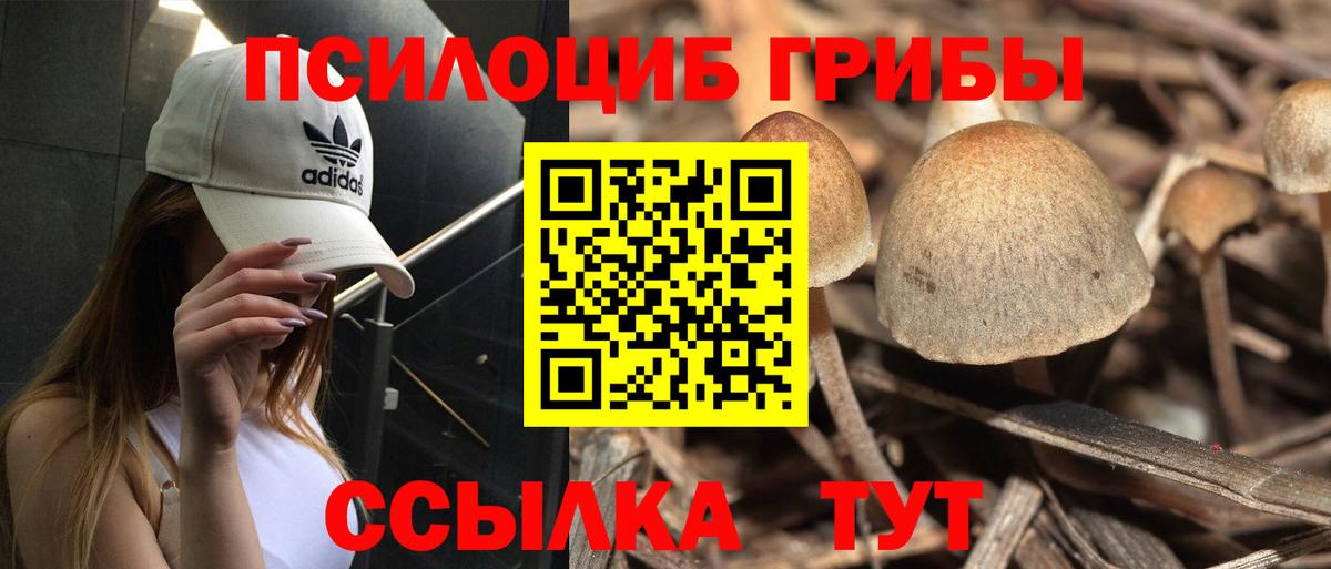 Сафоново  где продают наркотики  Псилоцибиновые грибы мицелий  Вход с VPN  Псилоцибиновые грибы Cubensis 